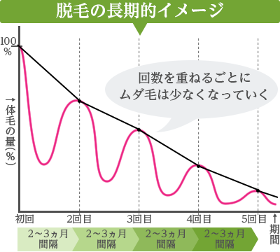 毛の長期的イメージ