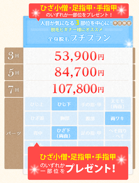 全身脱毛プチプラン