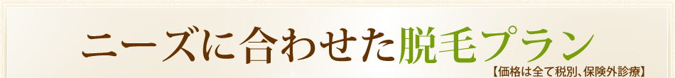 ニーズに合わせた脱毛プラン
