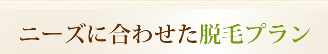 ニーズに合わせた脱毛プラン