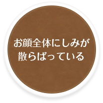 お顔全体にしみが散らばっている