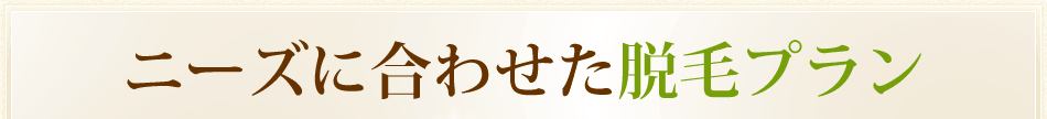 ニーズに合わせた脱毛プラン