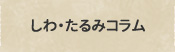 しわ・たるみコラム