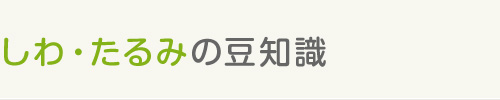 しわ・たるみの豆知識 〜たるみの種類〜