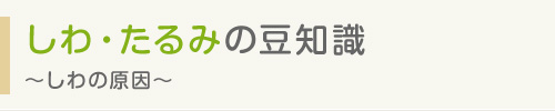 しわ・たるみの豆知識 〜しわの原因〜