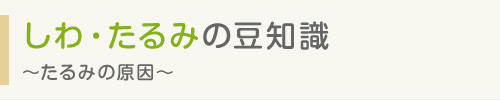 しわ・たるみの豆知識 〜たるみの原因〜