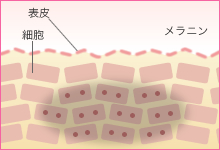 1.フォトフェイシャル照射前