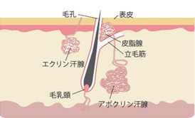 多汗症