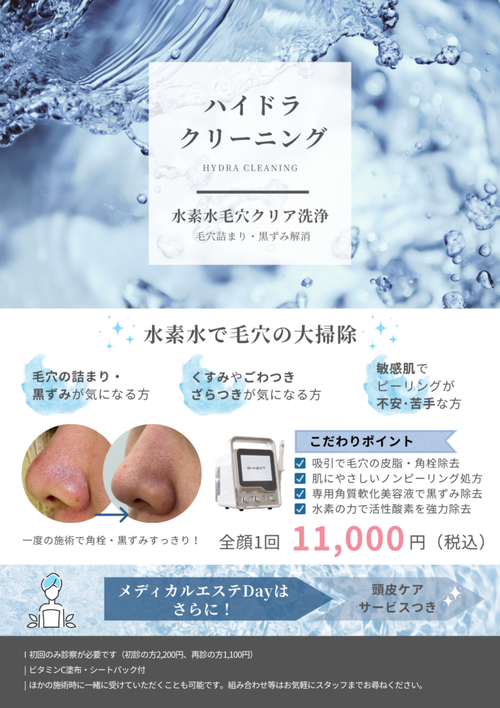 ハイドラクリーニング_名称